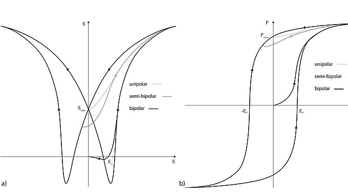 Displacement Behavior